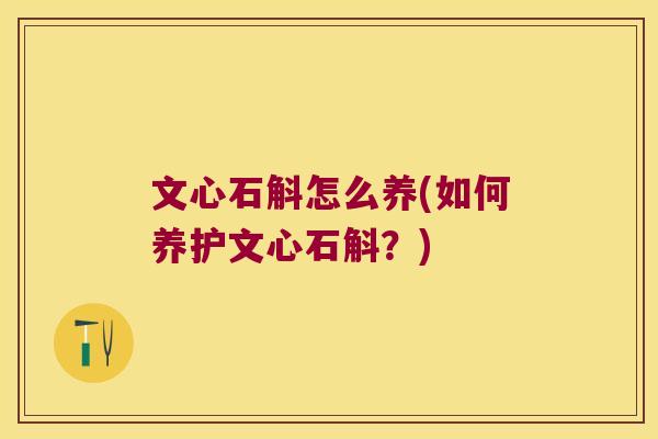 文心石斛怎么养(如何养护文心石斛？)
