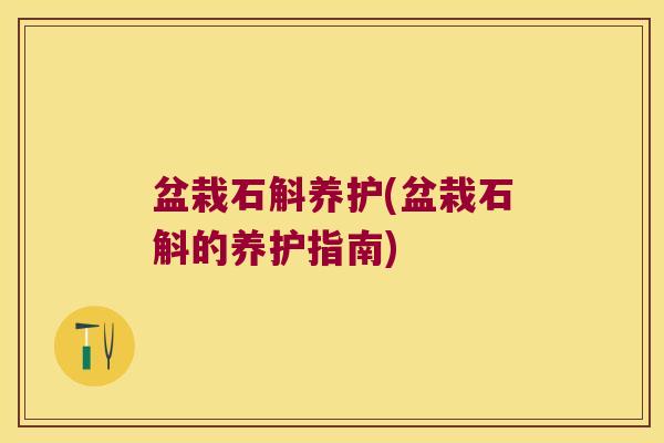 盆栽石斛养护(盆栽石斛的养护指南)
