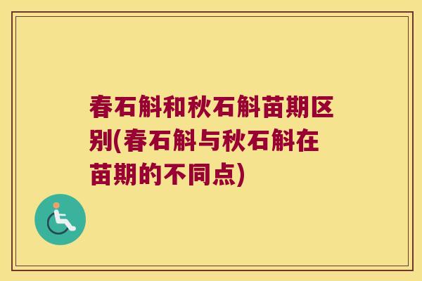 春石斛和秋石斛苗期区别(春石斛与秋石斛在苗期的不同点)
