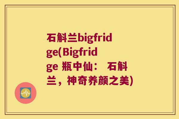 石斛兰bigfridge(Bigfridge 瓶中仙： 石斛兰，神奇养颜之美)