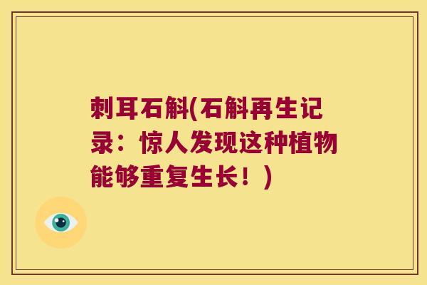 刺耳石斛(石斛再生记录:惊人发现这种植物能够重复生长!) 刺耳石斛(石斛再生记录:惊人发现这种植物能够重复生长!)