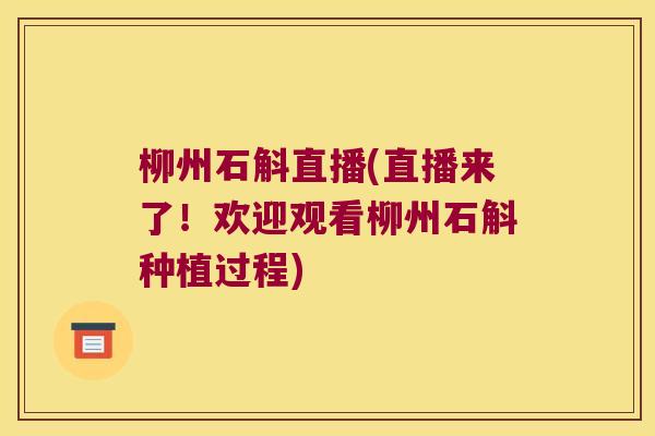 柳州石斛直播(直播来了！欢迎观看柳州石斛种植过程)