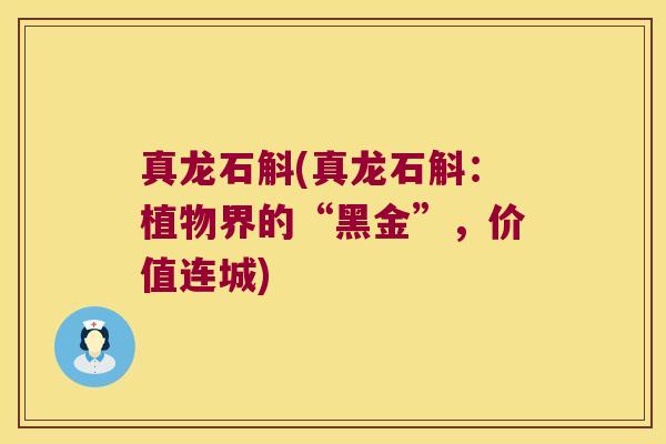 真龙石斛(真龙石斛：植物界的“黑金”，价值连城)