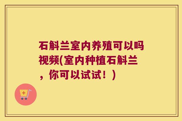 石斛兰室内养殖可以吗视频(室内种植石斛兰，你可以试试！)