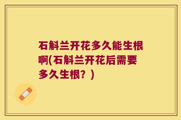 石斛兰开花多久能生根啊(石斛兰开花后需要多久生根？)