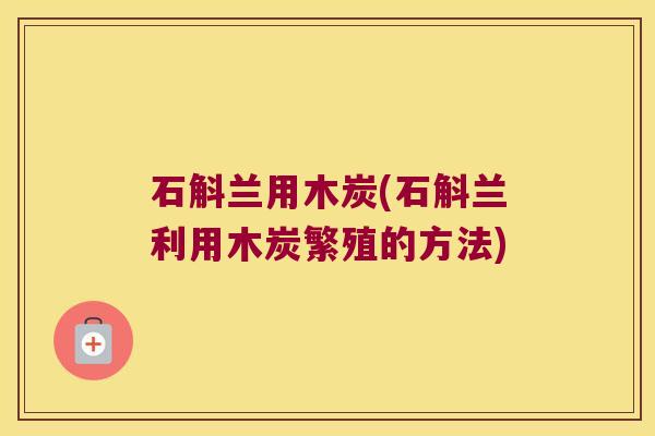 石斛兰用木炭(石斛兰利用木炭繁殖的方法) 石斛兰用木炭(石斛兰利用木炭繁殖的方法)
