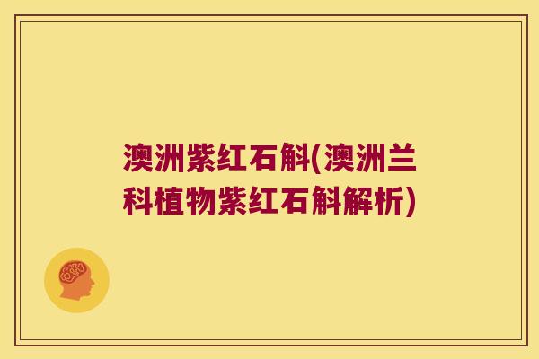 澳洲紫红石斛(澳洲兰科植物紫红石斛解析)
