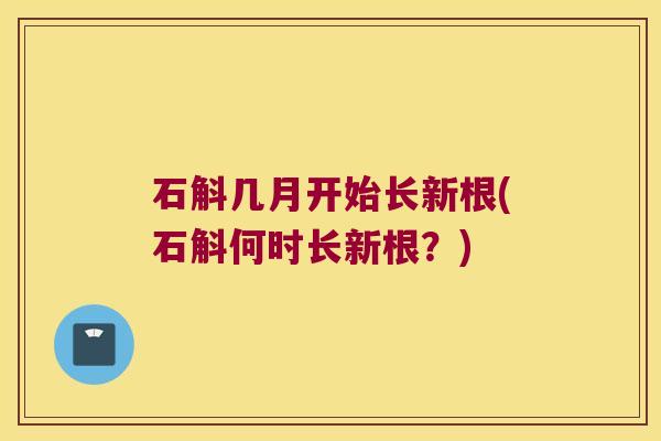 石斛几月开始长新根(石斛何时长新根？)