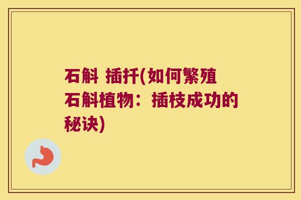 石斛 插扦(如何繁殖石斛植物：插枝成功的秘诀)