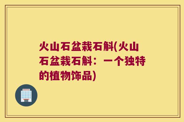 火山石盆栽石斛(火山石盆栽石斛：一个独特的植物饰品)