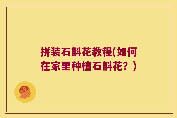 拼装石斛花教程(如何在家里种植石斛花？)