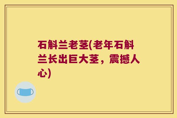 石斛兰老茎(老年石斛兰长出巨大茎，震撼人心)