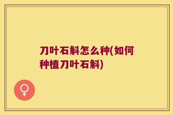 刀叶石斛怎么种(如何种植刀叶石斛)