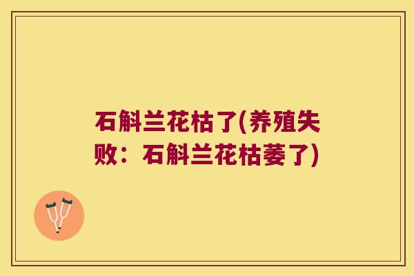 石斛兰花枯了(养殖失败：石斛兰花枯萎了)