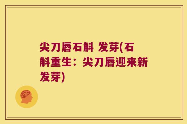尖刀唇石斛 发芽(石斛重生：尖刀唇迎来新发芽)