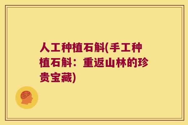 人工种植石斛(手工种植石斛:重返山林的珍贵宝藏) 人工种植石斛(手工种植石斛:重返山林的珍贵宝藏)