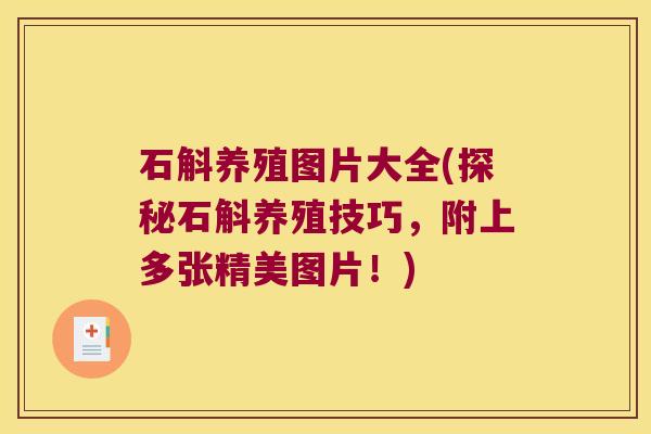 石斛养殖图片大全(探秘石斛养殖技巧,附上多张精美图片!) 石斛养殖图片大全(探秘石斛养殖技巧,附上多张精美图片!)