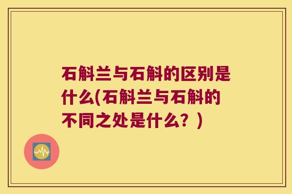 石斛兰与石斛的区别是什么(石斛兰与石斛的不同之处是什么？)