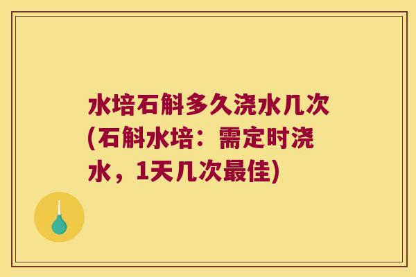 水培石斛多久浇水几次(石斛水培：需定时浇水，1天几次最佳)