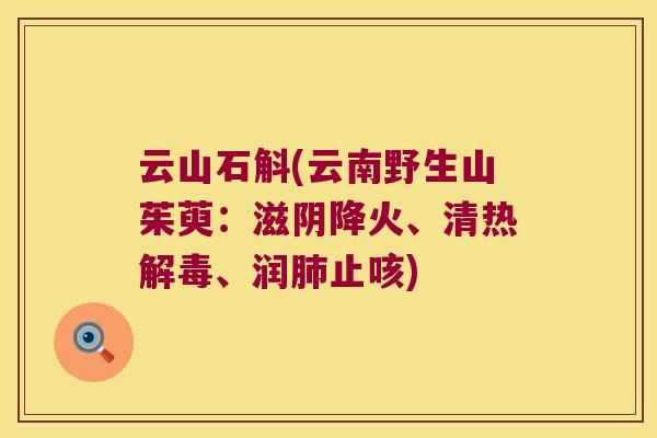 云山石斛(云南野生山茱萸：滋阴降火、清热解毒、润肺止咳)