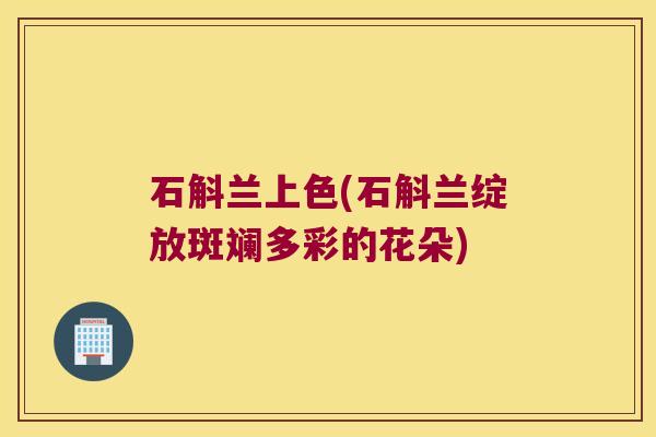 石斛兰上色(石斛兰绽放斑斓多彩的花朵)