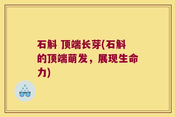 石斛 顶端长芽(石斛的顶端萌发，展现生命力)