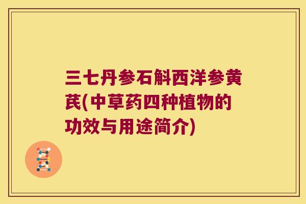 三七丹参石斛西洋参黄芪(中草药四种植物的功效与用途简介)