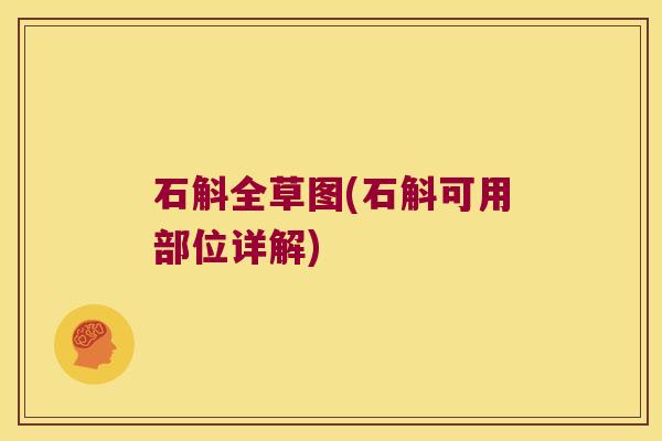石斛全草图(石斛可用部位详解)