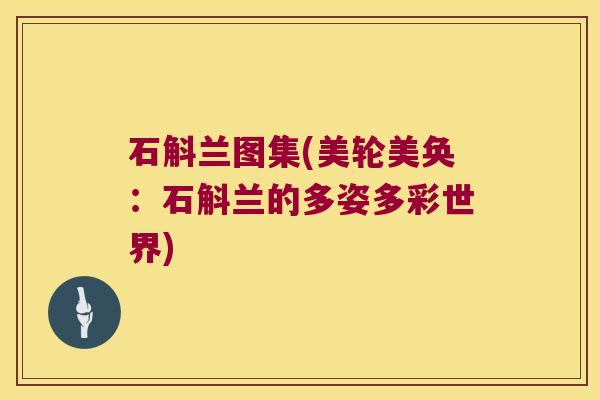 石斛兰图集(美轮美奂:石斛兰的多姿多彩世界) 石斛兰图集(美轮美奂:石斛兰的多姿多彩世界)