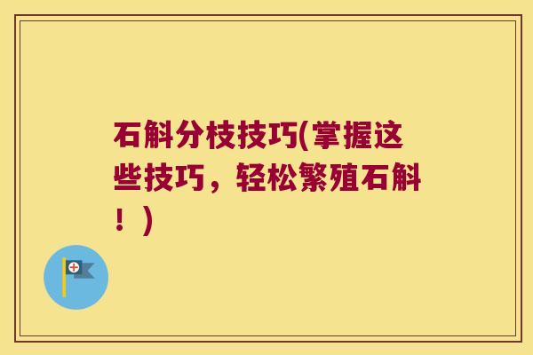 石斛分枝技巧(掌握这些技巧，轻松繁殖石斛！)