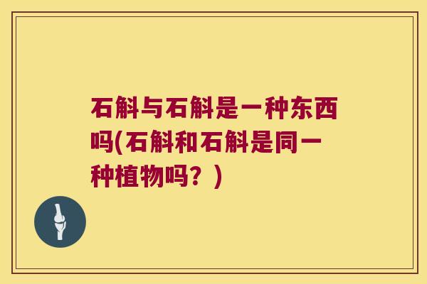 石斛与石斛是一种东西吗(石斛和石斛是同一种植物吗？)