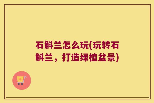 石斛兰怎么玩(玩转石斛兰，打造绿植盆景)