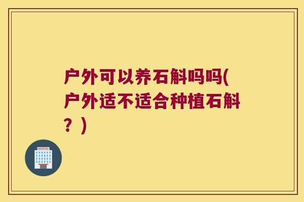 户外可以养石斛吗吗(户外适不适合种植石斛？)