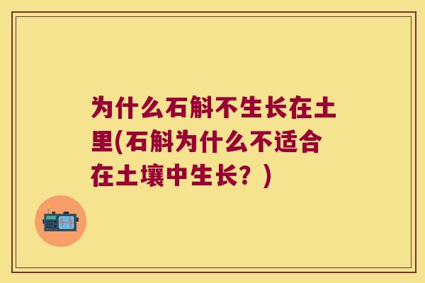 为什么石斛不生长在土里(石斛为什么不适合在土壤中生长？)