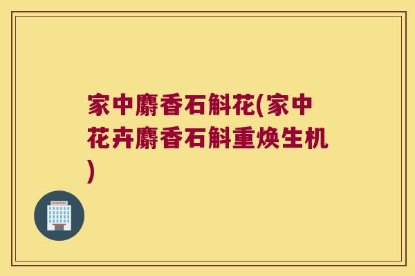 家中麝香石斛花(家中花卉麝香石斛重焕生机)