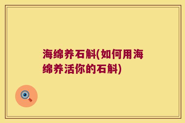 海绵养石斛(如何用海绵养活你的石斛) 海绵养石斛(如何用海绵养活你的石斛)