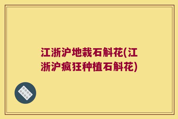 江浙沪地栽石斛花(江浙沪疯狂种植石斛花) 江浙沪地栽石斛花(江浙沪疯狂种植石斛花)