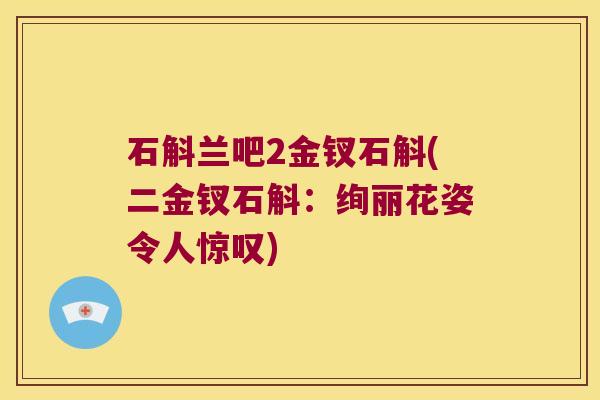 石斛兰吧2金钗石斛(二金钗石斛：绚丽花姿令人惊叹)