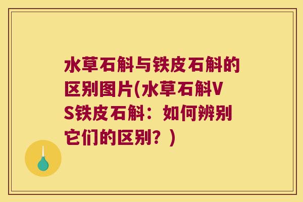 水草石斛与铁皮石斛的区别图片(水草石斛VS铁皮石斛：如何辨别它们的区别？)