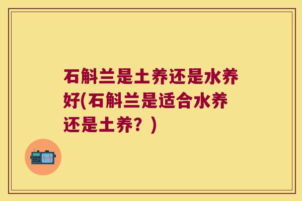 石斛兰是土养还是水养好(石斛兰是适合水养还是土养？)