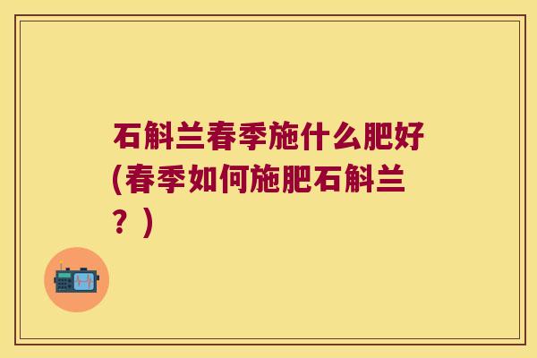 石斛兰春季施什么肥好(春季如何施肥石斛兰？)