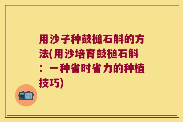 用沙子种鼓槌石斛的方法(用沙培育鼓槌石斛：一种省时省力的种植技巧)