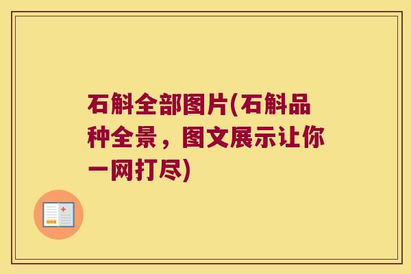 石斛全部图片(石斛品种全景，图文展示让你一网打尽)