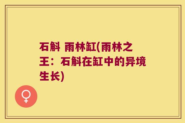石斛 雨林缸(雨林之王：石斛在缸中的异境生长)