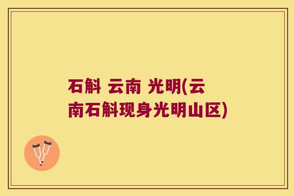 石斛 云南 光明(云南石斛现身光明山区)
