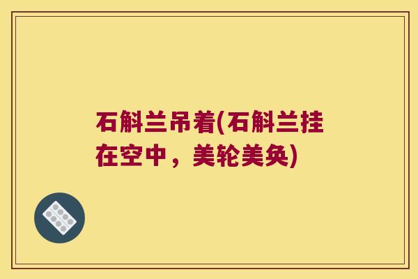 石斛兰吊着(石斛兰挂在空中，美轮美奂)