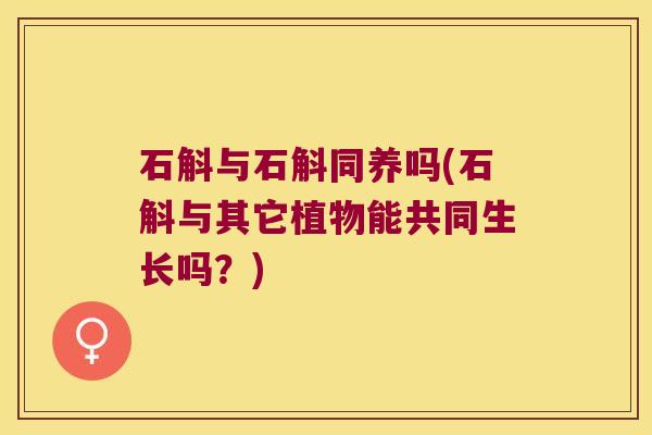 石斛与石斛同养吗(石斛与其它植物能共同生长吗？)