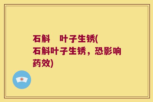石斛   叶子生锈(石斛叶子生锈，恐影响)