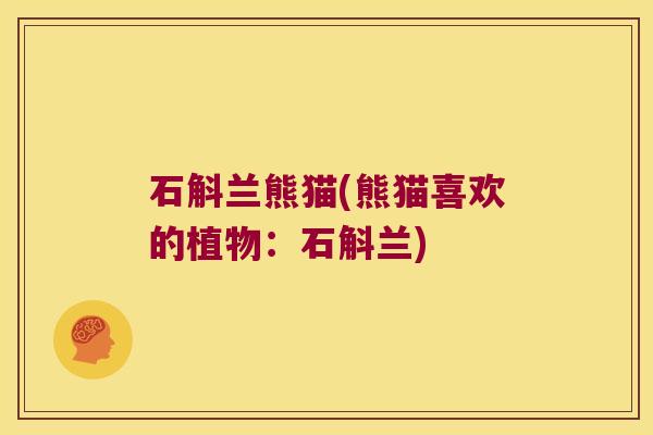石斛兰熊猫(熊猫喜欢的植物:石斛兰) 石斛兰熊猫(熊猫喜欢的植物:石斛兰)