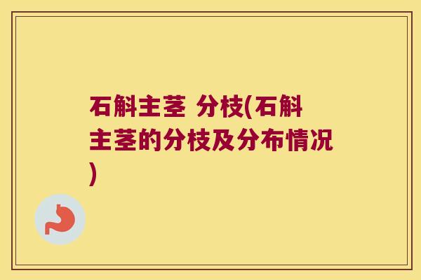 石斛主茎 分枝(石斛主茎的分枝及分布情况)